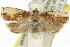  ( - 11ANIC-11964)  @13 [ ] CreativeCommons - Attribution (2011) ANIC/CBG Photography Group Centre for Biodiversity Genomics