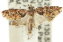  ( - 11ANIC-12170)  @13 [ ] CreativeCommons - Attribution (2011) ANIC/CBG Photography Group Centre for Biodiversity Genomics