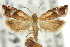 ( - 11ANIC-12184)  @13 [ ] CreativeCommons - Attribution (2011) ANIC/CBG Photography Group Centre for Biodiversity Genomics