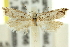  ( - 11ANIC-12247)  @11 [ ] CreativeCommons - Attribution (2011) ANIC/CBG Photography Group Centre for Biodiversity Genomics