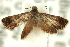  ( - 11ANIC-12325)  @12 [ ] CreativeCommons - Attribution (2011) ANIC/CBG Photography Group Centre for Biodiversity Genomics