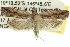  ( - 11ANIC-12377)  @14 [ ] CreativeCommons - Attribution (2011) ANIC/CBG Photography Group Centre for Biodiversity Genomics