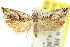 ( - 11ANIC-12553)  @13 [ ] CreativeCommons - Attribution (2011) ANIC/CBG Photography Group Centre for Biodiversity Genomics
