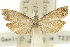  ( - 11ANIC-12574)  @11 [ ] CreativeCommons - Attribution (2011) ANIC/CBG Photography Group Centre for Biodiversity Genomics