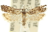  ( - 11ANIC-12611)  @11 [ ] CreativeCommons - Attribution (2011) ANIC/CBG Photography Group Centre for Biodiversity Genomics