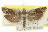  ( - 11ANIC-12645)  @11 [ ] CreativeCommons - Attribution (2011) ANIC/CBG Photography Group Centre for Biodiversity Genomics