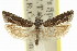  ( - 11ANIC-12652)  @11 [ ] CreativeCommons - Attribution (2011) ANIC/CBG Photography Group Centre for Biodiversity Genomics