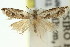  ( - 11ANIC-12705)  @11 [ ] CreativeCommons - Attribution (2011) ANIC/CBG Photography Group Centre for Biodiversity Genomics