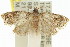  ( - 11ANIC-12725)  @13 [ ] CreativeCommons - Attribution (2011) ANIC/CBG Photography Group Centre for Biodiversity Genomics
