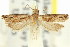  ( - 11ANIC-12767)  @11 [ ] CreativeCommons - Attribution (2011) ANIC/CBG Photography Group Centre for Biodiversity Genomics