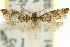  ( - 11ANIC-12821)  @13 [ ] CreativeCommons - Attribution (2011) ANIC/CBG Photography Group Centre for Biodiversity Genomics