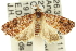  ( - 11ANIC-12840)  @12 [ ] CreativeCommons - Attribution (2011) ANIC/CBG Photography Group Centre for Biodiversity Genomics