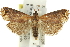  ( - 11ANIC-12846)  @13 [ ] CreativeCommons - Attribution (2011) ANIC/CBG Photography Group Centre for Biodiversity Genomics