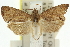  ( - 11ANIC-12857)  @12 [ ] CreativeCommons - Attribution (2011) ANIC/CBG Photography Group Centre for Biodiversity Genomics
