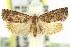  ( - 11ANIC-12928)  @13 [ ] CreativeCommons - Attribution (2011) ANIC/CBG Photography Group Centre for Biodiversity Genomics