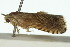  ( - 11ANIC-12963)  @11 [ ] CreativeCommons - Attribution (2011) ANIC/CBG Photography Group Centre for Biodiversity Genomics