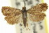  ( - 11ANIC-12970)  @11 [ ] CreativeCommons - Attribution (2011) ANIC/CBG Photography Group Centre for Biodiversity Genomics