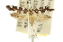  ( - 11ANIC-13167)  @11 [ ] CreativeCommons - Attribution (2011) ANIC/CBG Photography Group Centre for Biodiversity Genomics