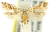  ( - 11ANIC-13321)  @11 [ ] CreativeCommons - Attribution (2011) ANIC/CBG Photography Group Centre for Biodiversity Genomics