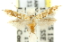  ( - 11ANIC-13322)  @11 [ ] CreativeCommons - Attribution (2011) ANIC/CBG Photography Group Centre for Biodiversity Genomics