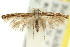  ( - 11ANIC-13481)  @11 [ ] CreativeCommons - Attribution (2011) ANIC/CBG Photography Group Centre for Biodiversity Genomics