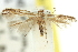  ( - 11ANIC-13513)  @11 [ ] CreativeCommons - Attribution (2011) ANIC/CBG Photography Group Centre for Biodiversity Genomics