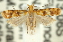  ( - 11ANIC-13856)  @14 [ ] CreativeCommons - Attribution (2011) ANIC/CBG Photography Group Centre for Biodiversity Genomics