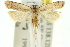  ( - 11ANIC-13921)  @14 [ ] CreativeCommons - Attribution (2011) ANIC/CBG Photography Group Centre for Biodiversity Genomics