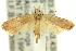  ( - 11ANIC-13924)  @14 [ ] CreativeCommons - Attribution (2011) ANIC/CBG Photography Group Centre for Biodiversity Genomics