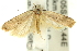  ( - 11ANIC-13925)  @14 [ ] CreativeCommons - Attribution (2011) ANIC/CBG Photography Group Centre for Biodiversity Genomics