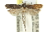  ( - 11ANIC-13926)  @14 [ ] CreativeCommons - Attribution (2011) ANIC/CBG Photography Group Centre for Biodiversity Genomics