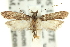  ( - 11ANIC-13927)  @14 [ ] CreativeCommons - Attribution (2011) ANIC/CBG Photography Group Centre for Biodiversity Genomics