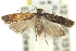  ( - 11ANIC-13928)  @13 [ ] CreativeCommons - Attribution (2011) ANIC/CBG Photography Group Centre for Biodiversity Genomics
