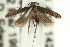  ( - 11ANIC-13929)  @12 [ ] CreativeCommons - Attribution (2011) ANIC/CBG Photography Group Centre for Biodiversity Genomics