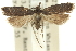  ( - 11ANIC-13930)  @14 [ ] CreativeCommons - Attribution (2011) ANIC/CBG Photography Group Centre for Biodiversity Genomics