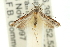  ( - 11ANIC-13995)  @11 [ ] CreativeCommons - Attribution (2011) ANIC/CBG Photography Group Centre for Biodiversity Genomics