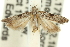 ( - 11ANIC-14031)  @13 [ ] CreativeCommons - Attribution (2011) ANIC/CBG Photography Group Centre for Biodiversity Genomics