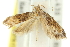  ( - 11ANIC-14074)  @11 [ ] CreativeCommons - Attribution (2011) ANIC/CBG Photography Group Centre for Biodiversity Genomics