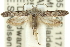  ( - 11ANIC-14138)  @13 [ ] CreativeCommons - Attribution (2011) ANIC/CBG Photography Group Centre for Biodiversity Genomics