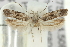  ( - 11ANIC-14160)  @12 [ ] CreativeCommons - Attribution (2011) ANIC/CBG Photography Group Centre for Biodiversity Genomics