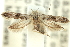  ( - 11ANIC-14171)  @14 [ ] CreativeCommons - Attribution (2011) ANIC/CBG Photography Group Centre for Biodiversity Genomics