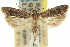  ( - 11ANIC-14213)  @14 [ ] CreativeCommons - Attribution (2011) ANIC/CBG Photography Group Centre for Biodiversity Genomics