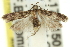  ( - 11ANIC-14265)  @13 [ ] CreativeCommons - Attribution (2011) ANIC/CBG Photography Group Centre for Biodiversity Genomics