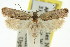  ( - 11ANIC-14416)  @11 [ ] CreativeCommons - Attribution (2011) ANIC/CBG Photography Group Centre for Biodiversity Genomics