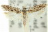  ( - 11ANIC-14425)  @11 [ ] CreativeCommons - Attribution (2011) ANIC/CBG Photography Group Centre for Biodiversity Genomics