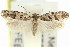  ( - 11ANIC-14441)  @11 [ ] CreativeCommons - Attribution (2011) ANIC/CBG Photography Group Centre for Biodiversity Genomics