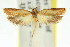  ( - 11ANIC-14472)  @11 [ ] CreativeCommons - Attribution (2011) ANIC/CBG Photography Group Centre for Biodiversity Genomics