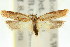  ( - 11ANIC-14473)  @11 [ ] CreativeCommons - Attribution (2011) ANIC/CBG Photography Group Centre for Biodiversity Genomics