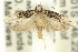  ( - 11ANIC-14500)  @14 [ ] CreativeCommons - Attribution (2011) ANIC/CBG Photography Group Centre for Biodiversity Genomics