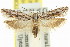  ( - 11ANIC-14505)  @15 [ ] CreativeCommons - Attribution (2011) ANIC/CBG Photography Group Centre for Biodiversity Genomics
